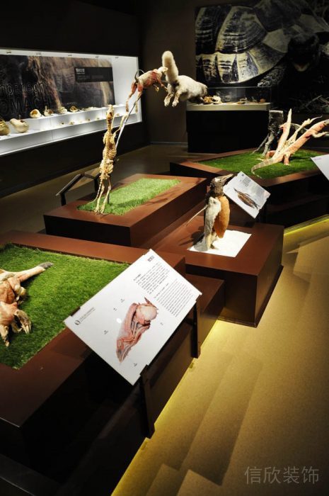 深圳博物館裝修設(shè)計