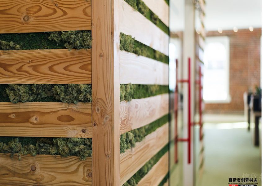 辦公室墻面綠化植物