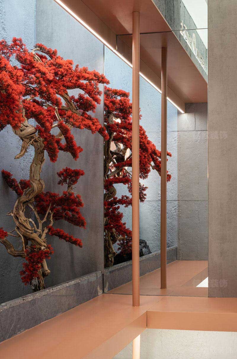 墻面紅色植物設(shè)計效果