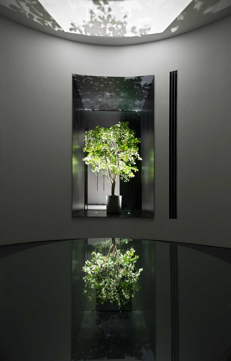 深圳寶安黑白色調(diào)辦公室綠植造型裝修