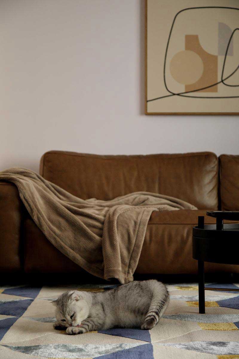 深圳龍崗區(qū)美式復(fù)古風(fēng)家裝裝修實景圖客廳沙發(fā)