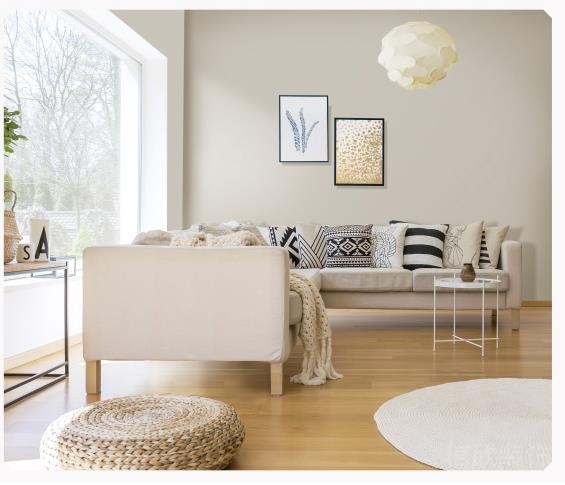 立邦實(shí)景效果圖1