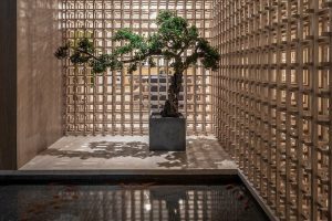 深圳南山區(qū)美容院裝修工程 魚(yú)池景觀