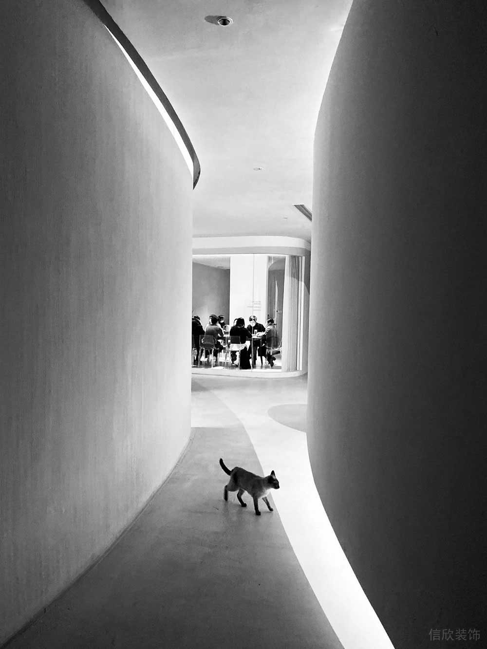 極簡風(fēng)格商務(wù)辦公空間過廊設(shè)計裝修圖