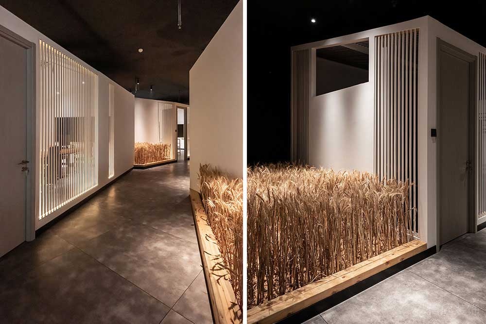 簡(jiǎn)約田園風(fēng)辦公空間綠植走廊裝修圖