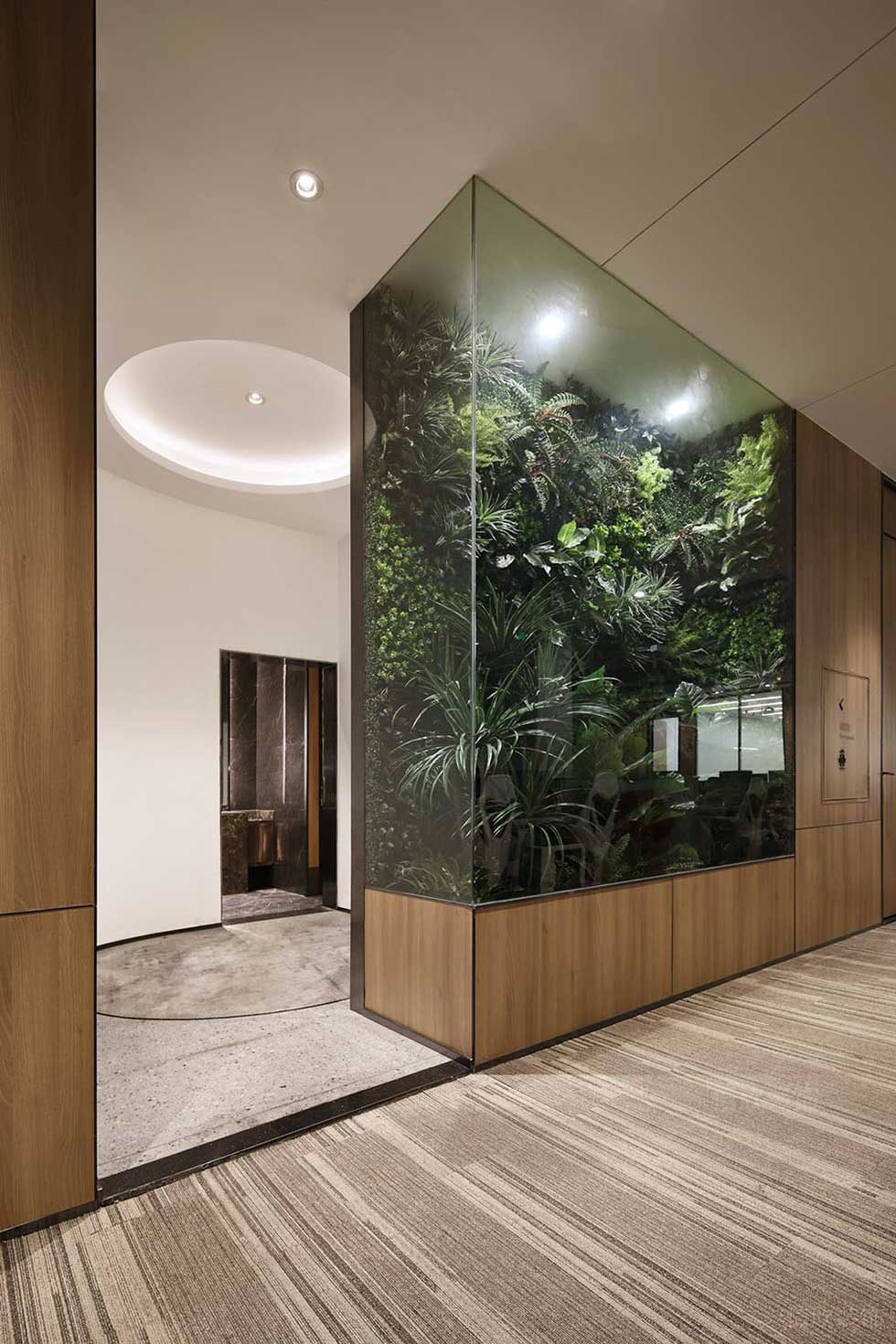 簡約北歐風(fēng)辦公室走廊綠植景觀效果圖