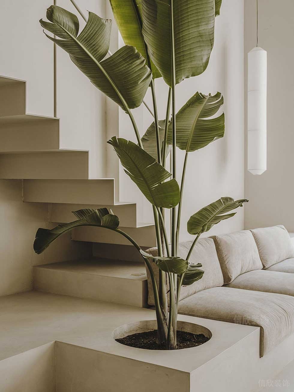 簡約風(fēng)格辦公室一層休閑區(qū)綠植裝飾效果圖