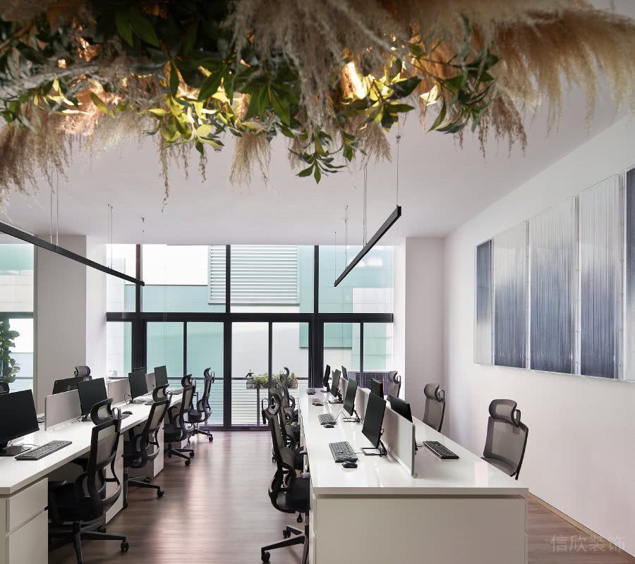 辦公室公共區(qū)長條形卡座大型綠植