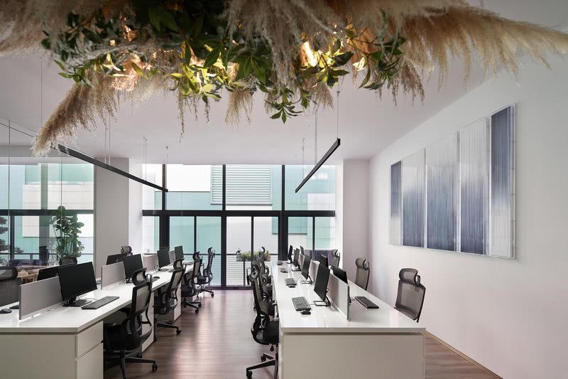 羅湖區(qū)國貿大廈辦公室公共辦公區(qū)綠色植物天花吊頂