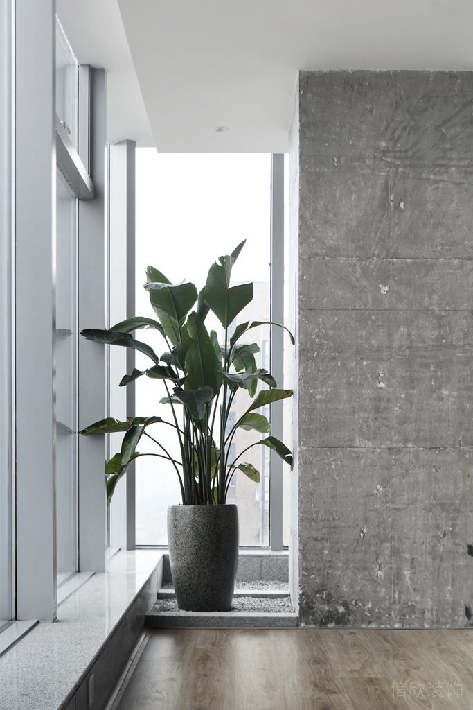 深圳龍華衛(wèi)東龍商務(wù)大廈300平方米簡(jiǎn)約素色風(fēng)格辦公室裝修案例窗邊自然風(fēng)綠植裝飾 深圳龍華衛(wèi)東龍商務(wù)大廈300平方米簡(jiǎn)約素色風(fēng)格辦公室裝修案例窗邊自然風(fēng)綠植裝飾