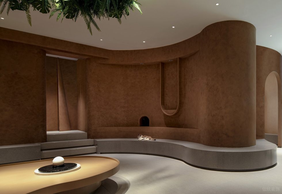 深圳市龍崗區(qū)橫崗有貓植說寵物店裝修設(shè)計-曲線型大廳二