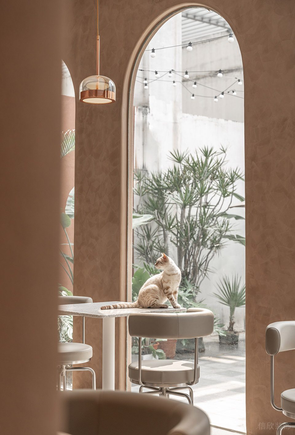 深圳市龍崗區(qū)橫崗有貓植說寵物店裝修設(shè)計 休息區(qū)二