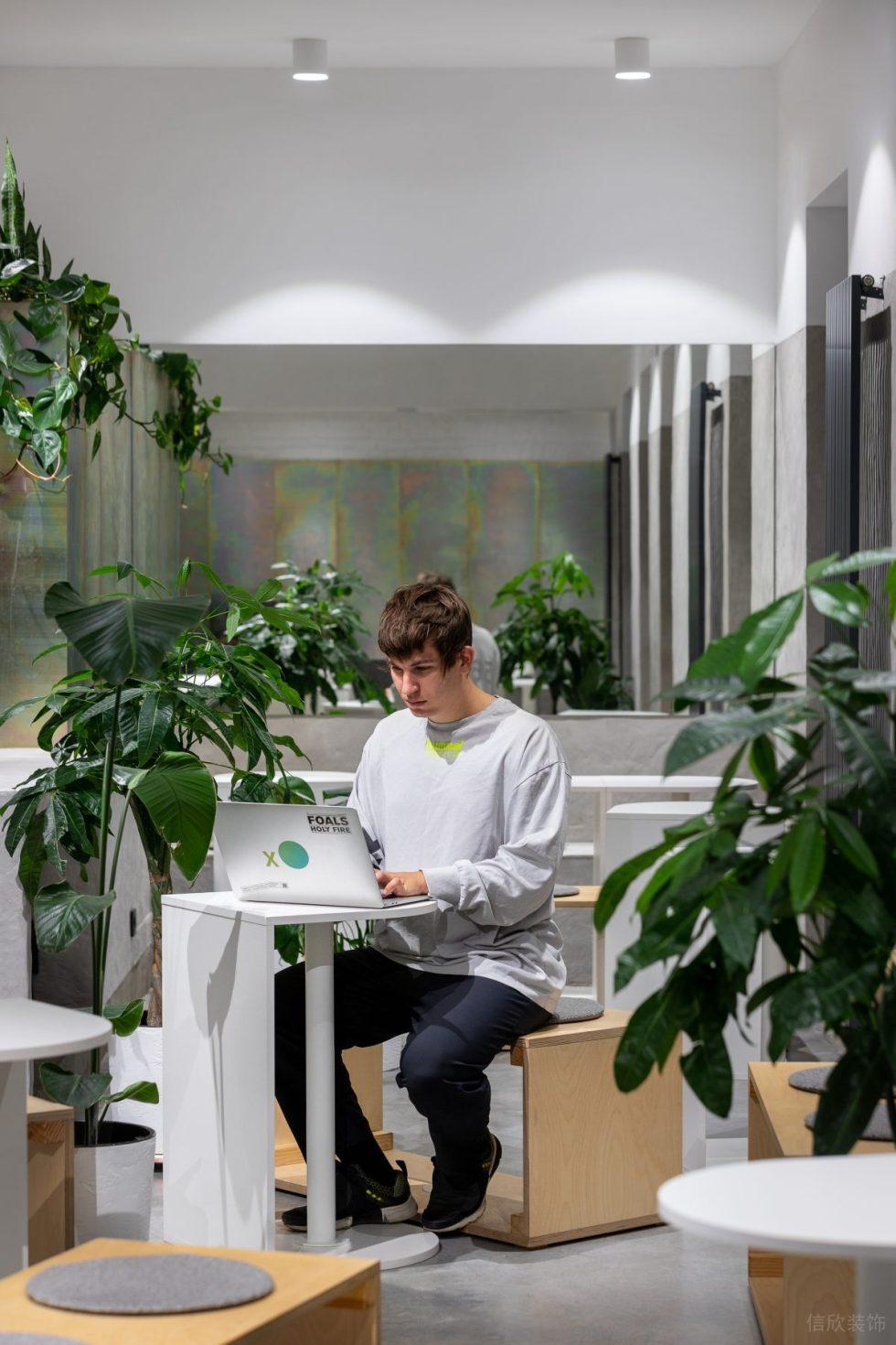 現(xiàn)代極簡(jiǎn)風(fēng)咖啡廳自然綠意景觀效果展示圖